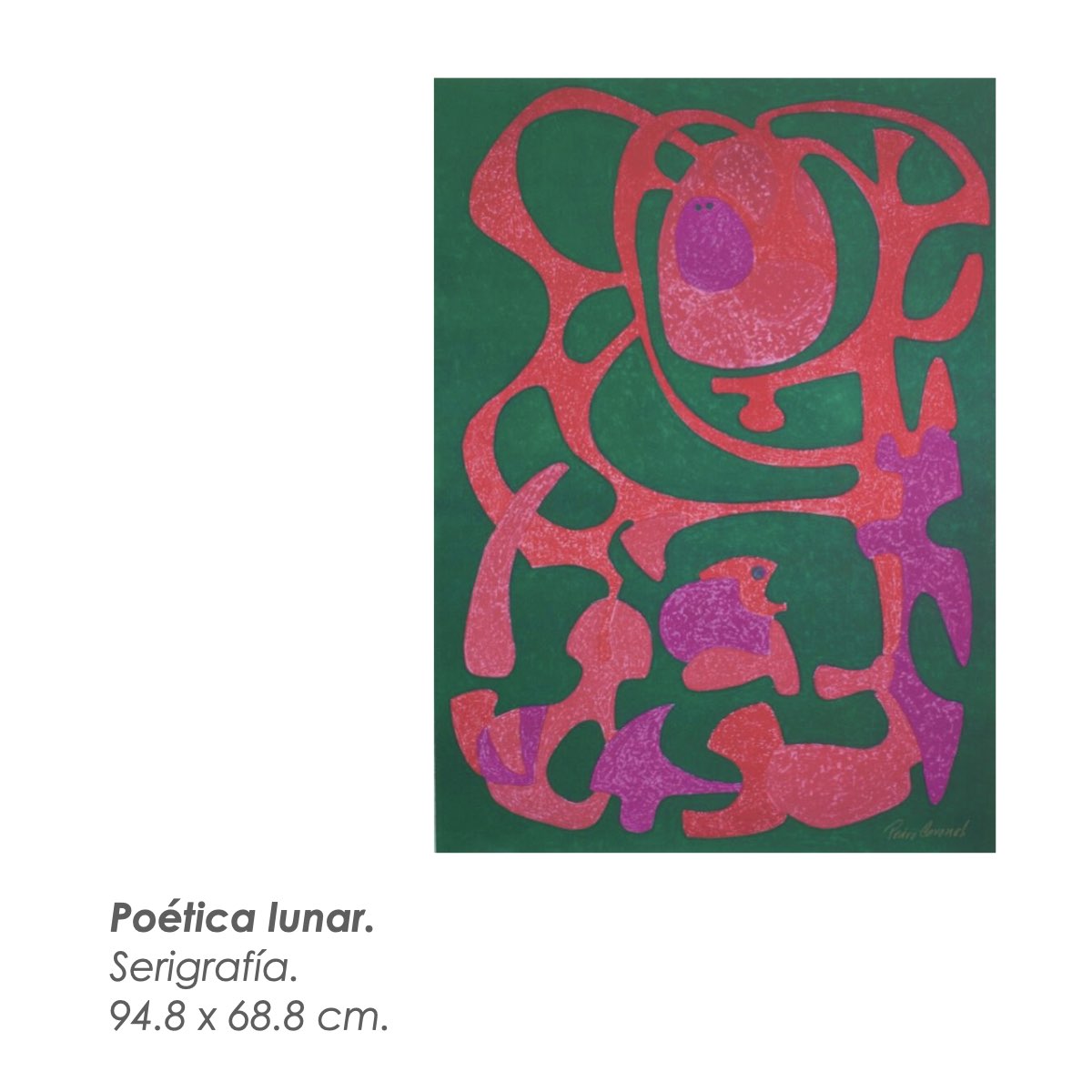 Ceballos Coronel Galería.060