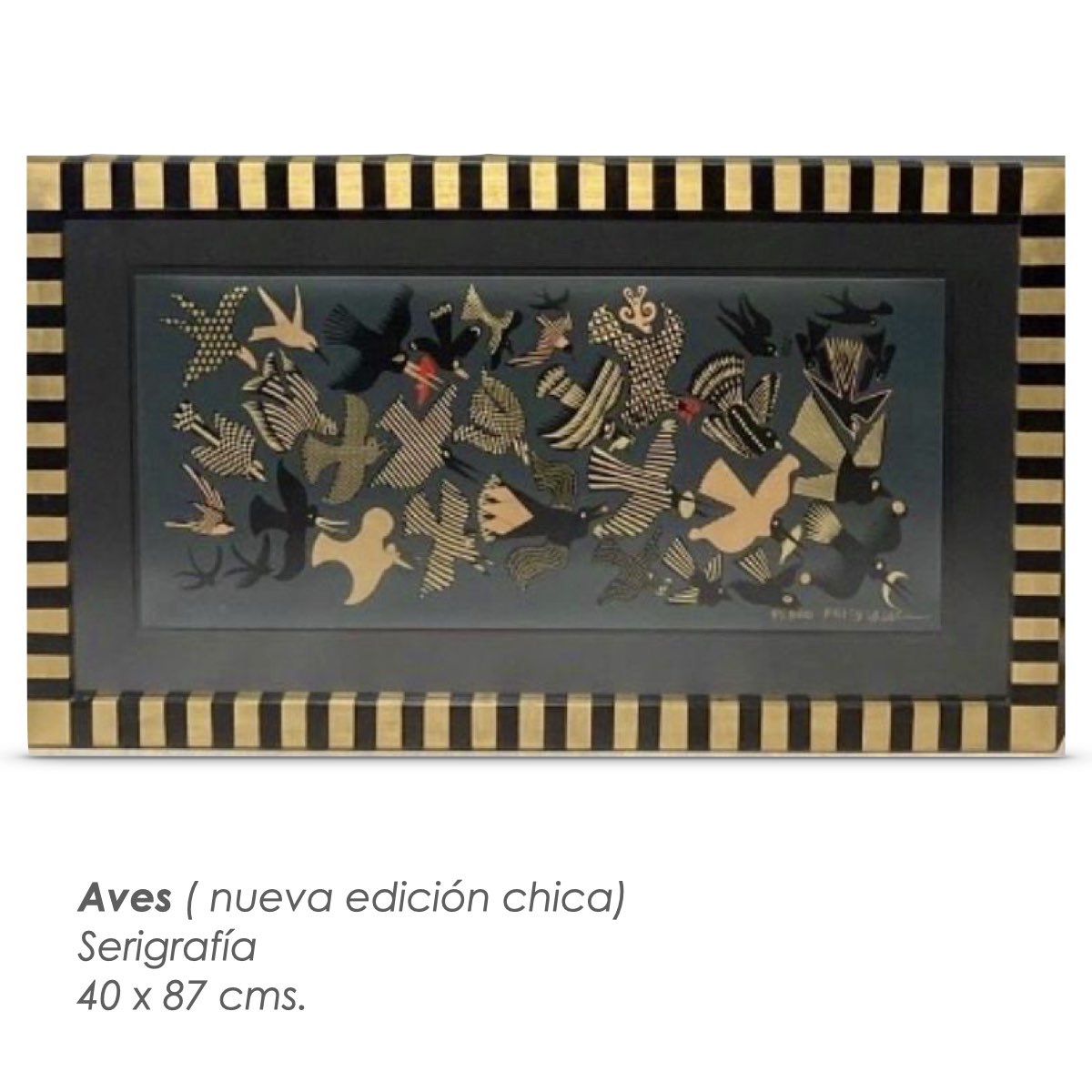 Pedro Coronel 3.009